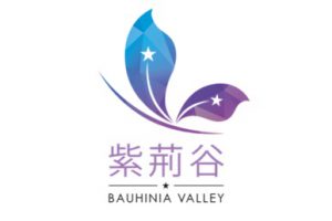2019 Tsinghua Bauhinia Valley Entrepreneur Application
