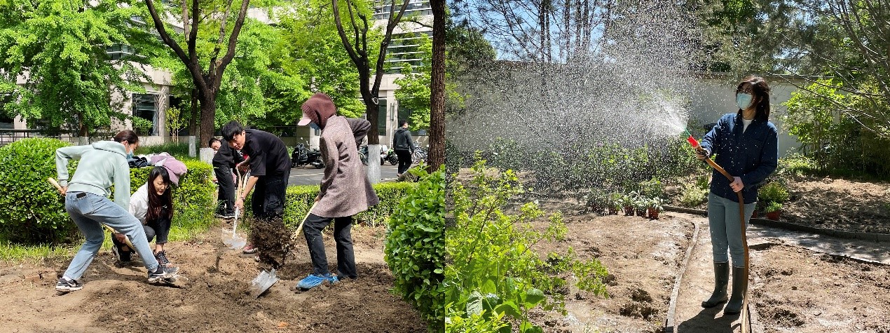 On-campus Gardening: The 2nd Tsinghua-Pek...